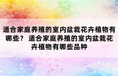 适合家庭养殖的室内盆栽花卉植物有哪些？ 适合家庭养殖的室内盆栽花卉植物有哪些品种